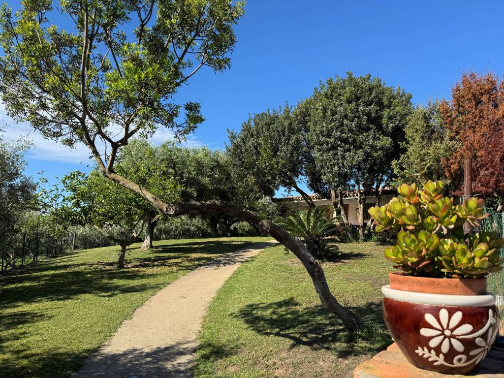 Villa a San vito in Nuova SS125 - Foto 2