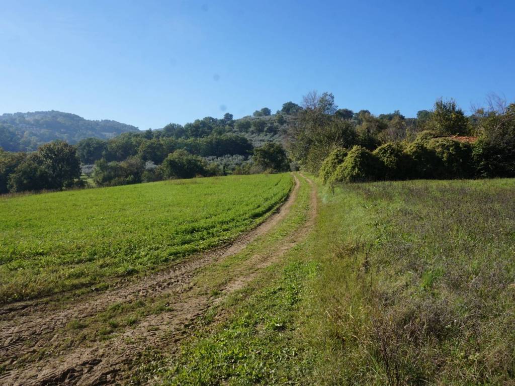 Rustico / casale a Bevagna in Vocabolo Trieno - Foto 5