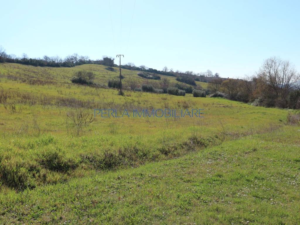 Rustico / casale a Manciano in Strada Provinciale Usi - Foto 5