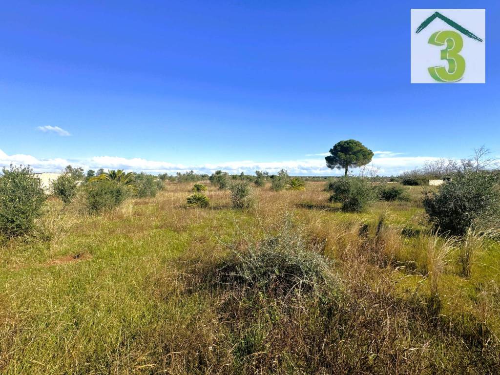 Terreno a Tricase in Strada Vicinale Petri Alfarano - Foto 2