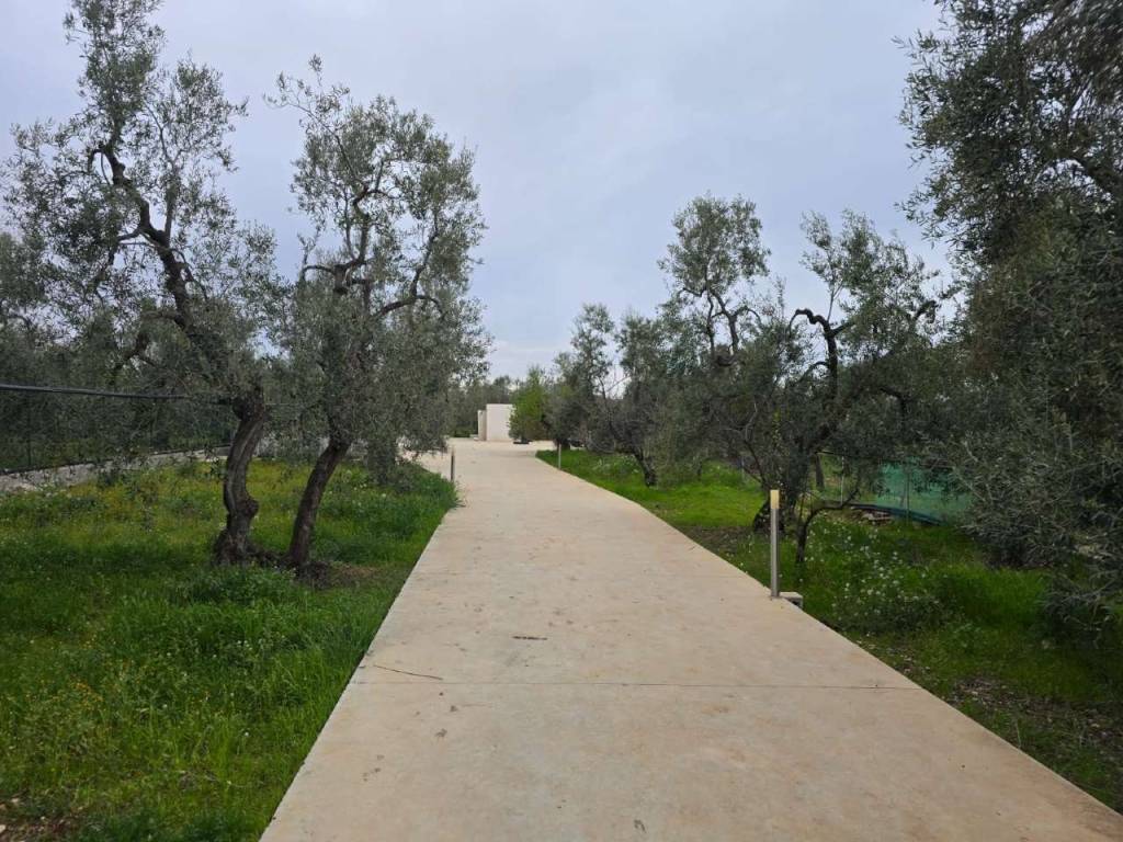 Terreno a Trani in contrada Moschetto 10 - Foto 3