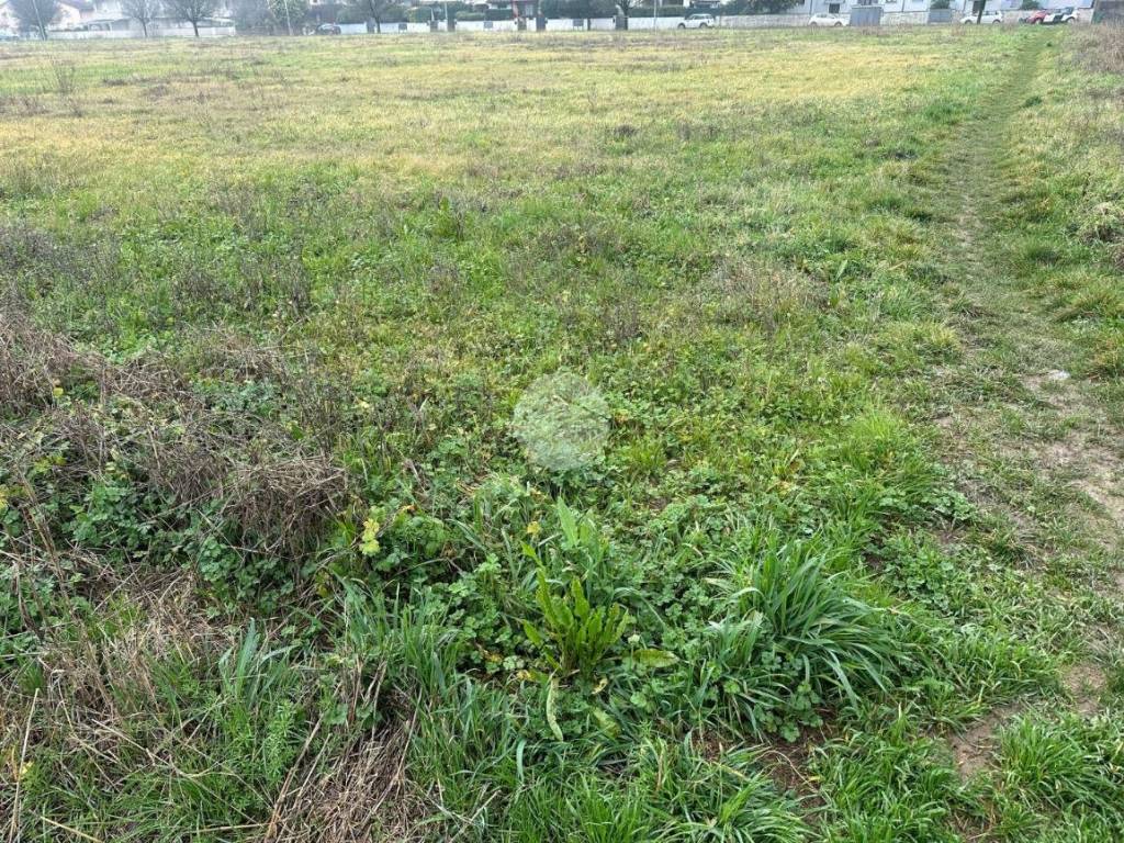 Terreno a Curtatone - Foto 3