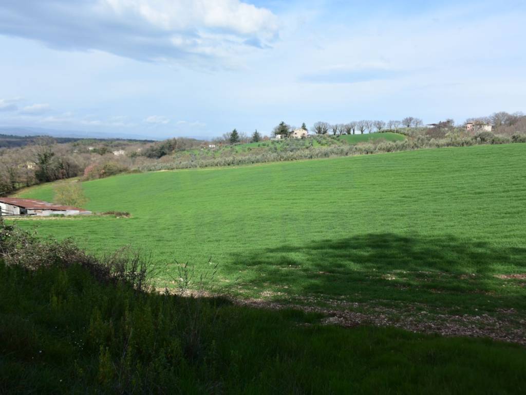 Rustico / casale a Massa martana in Strada Vicinale Colle - Foto 3