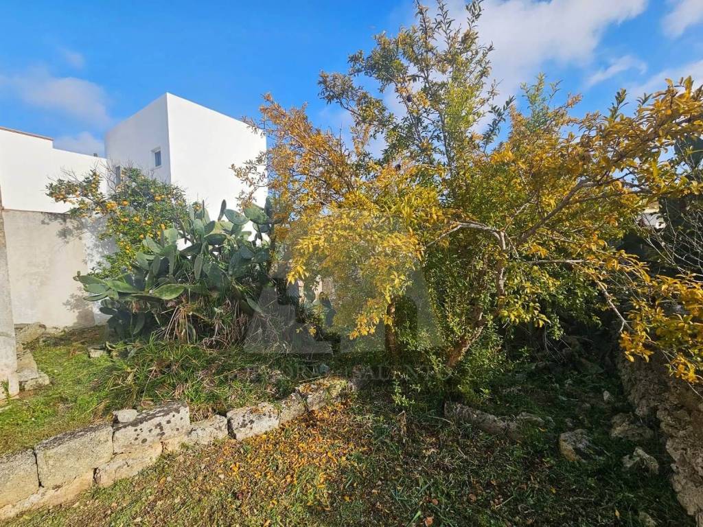 Casa indipendente a Gagliano del capo in Via Petrose, 23 - Foto 2