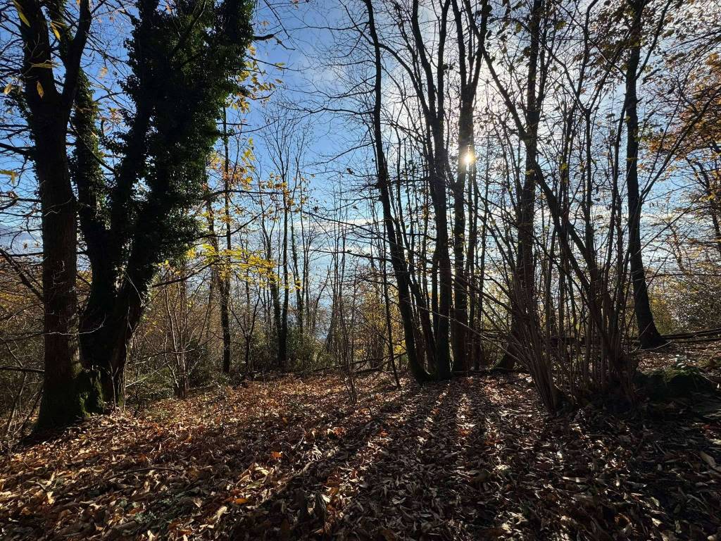 Terreno a Oggebbio - Foto 3