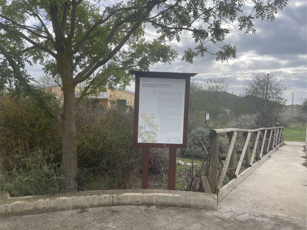 Rustico / casale a Montescaglioso in Strada Provinciale Matera Montescaglioso - Foto 3