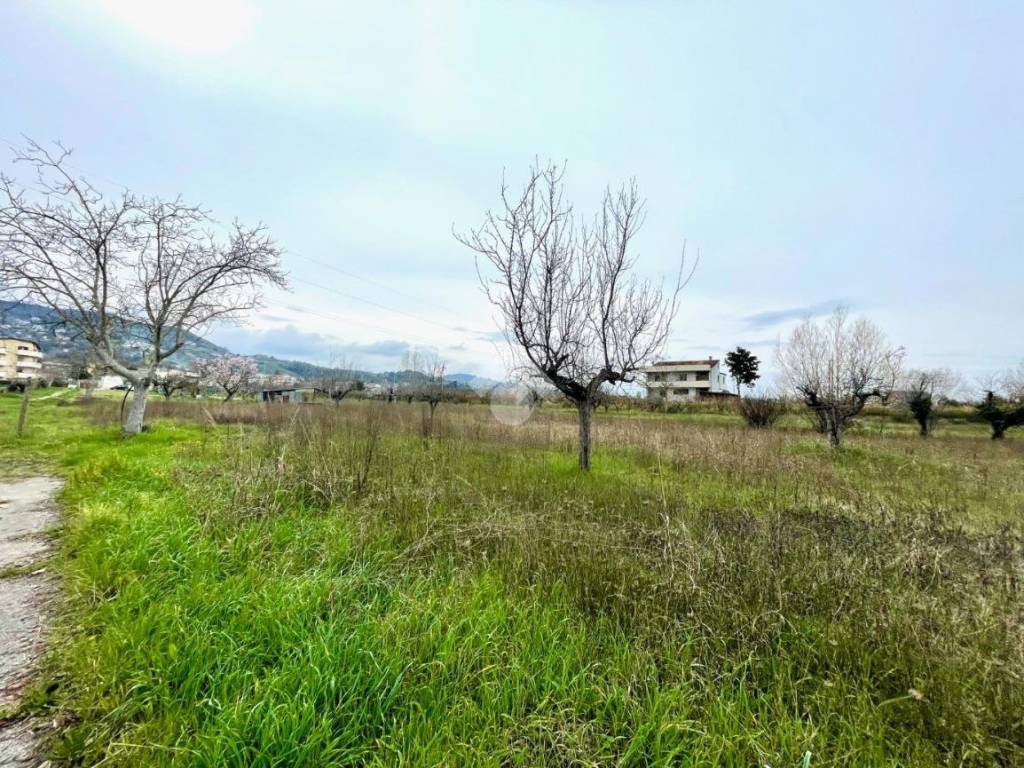 Terreno a San giovanni teatino in Via Giuseppe Mazzini - Foto 5