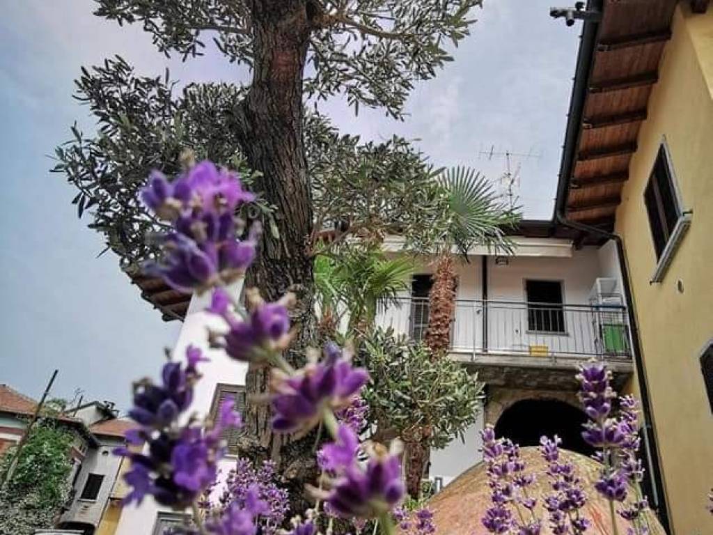 Appartamento a Leggiuno - Foto 5