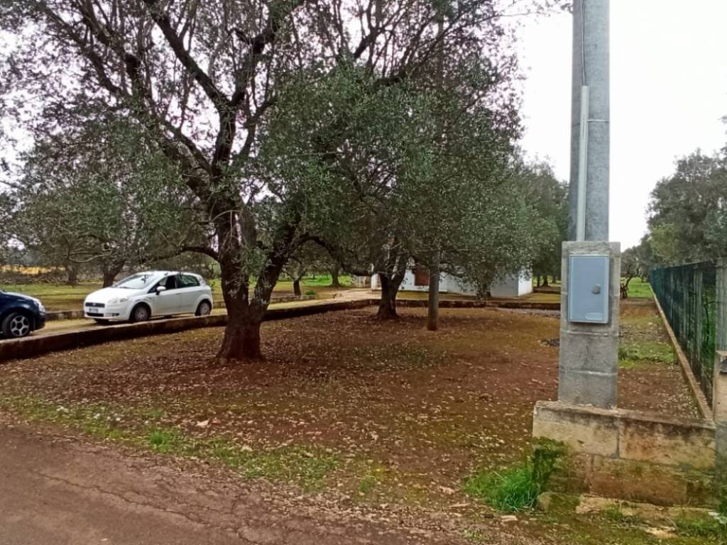 Villa a Francavilla fontana in Contrada Palmarino, 63 - Foto 3