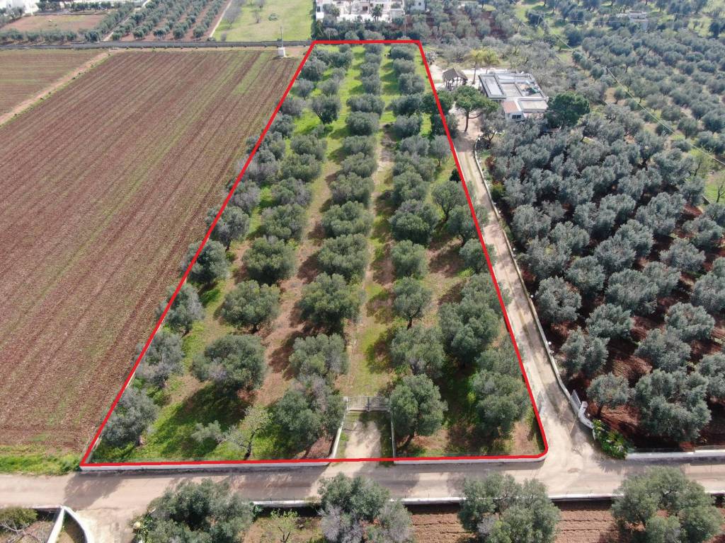 Terreno a Carovigno in SP34 - Foto 4
