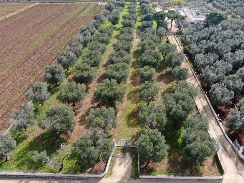 Terreno a Carovigno in SP34 - Foto 5