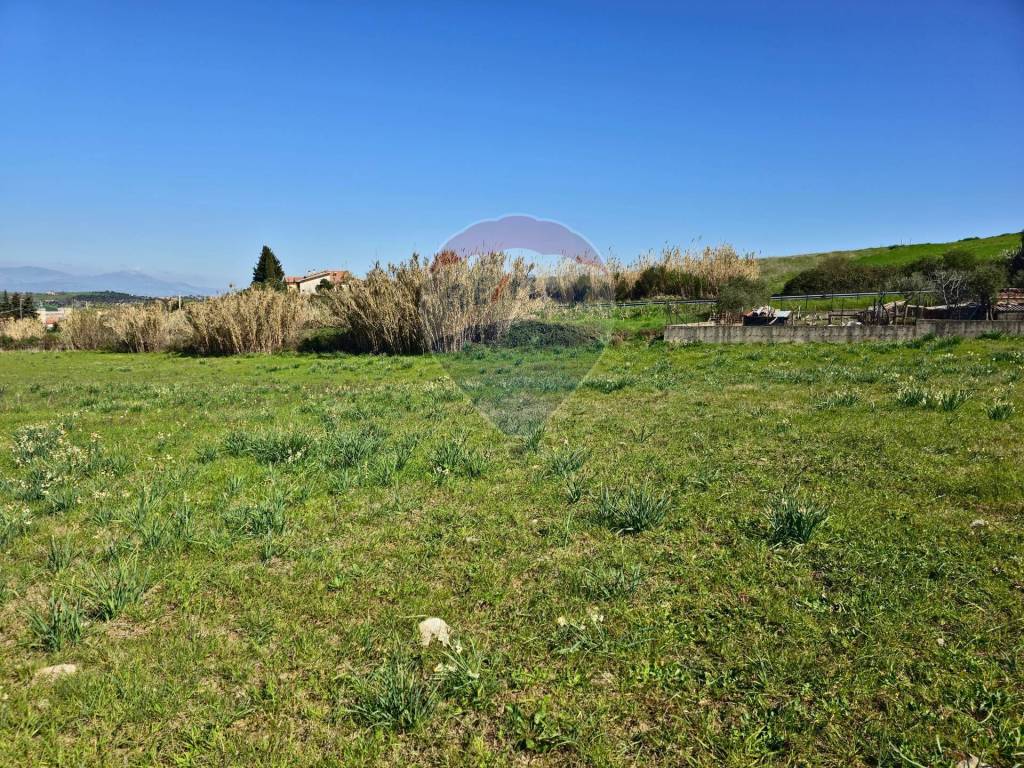 Terreno a San marco argentano in contrada pezze - Foto 3