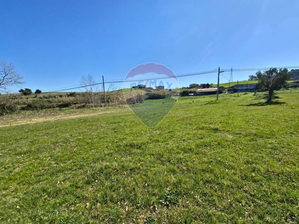 Terreno a San marco argentano in contrada pezze - Foto 5