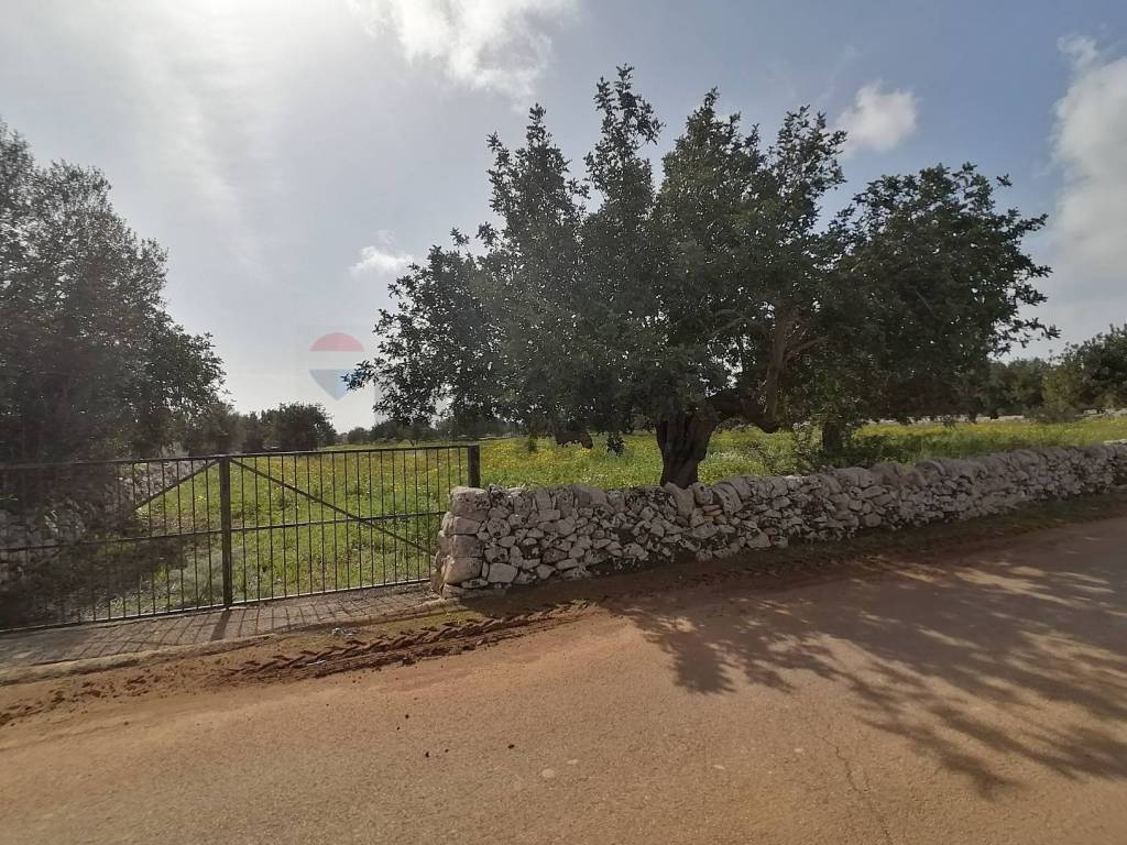 Terreno a Scicli in Contrada Piani - Foto 4
