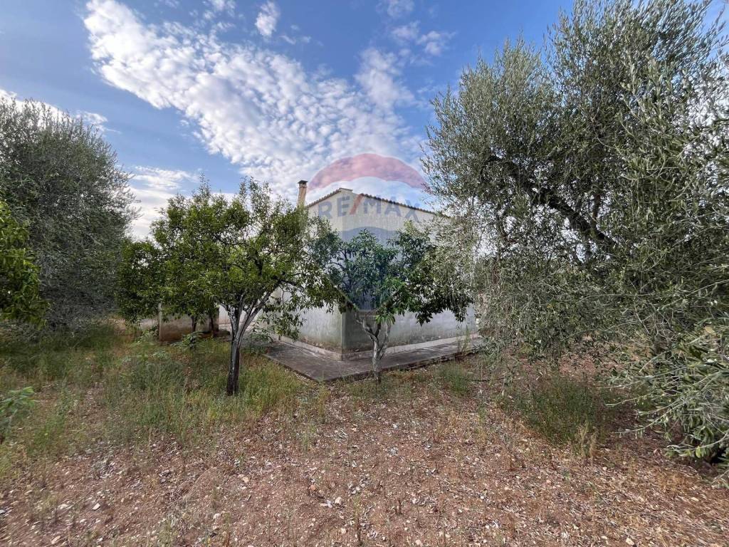 Villa a Vieste in Contrada Calma, 37 - Foto 5