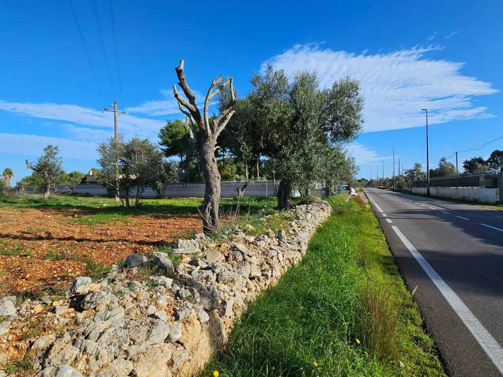 Terreno a Galatone in Via del Mare - Foto 2