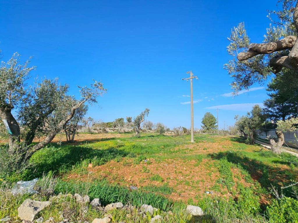Terreno a Galatone in Via del Mare - Foto 3