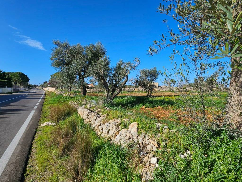 Terreno a Galatone in Via del Mare - Foto 4