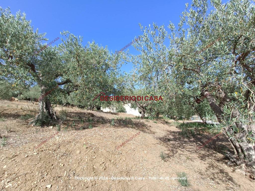 Terreno a Bagheria in Strada Comunale Incorvino Amalfitano - Foto 2