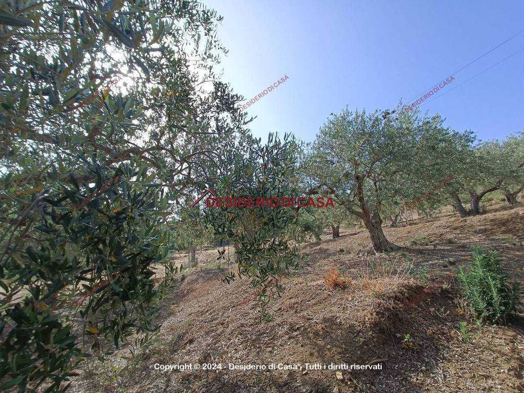 Terreno a Bagheria in Strada Comunale Incorvino Amalfitano - Foto 3