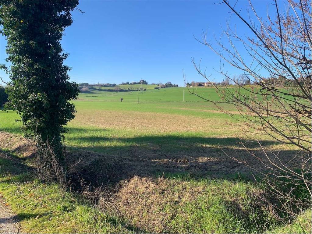 Terreno a Osimo - Foto 3