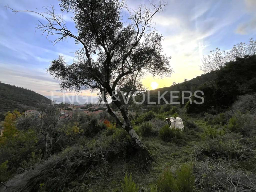 Terreno a Deiva marina in Via Giuseppe Romita - Foto 3