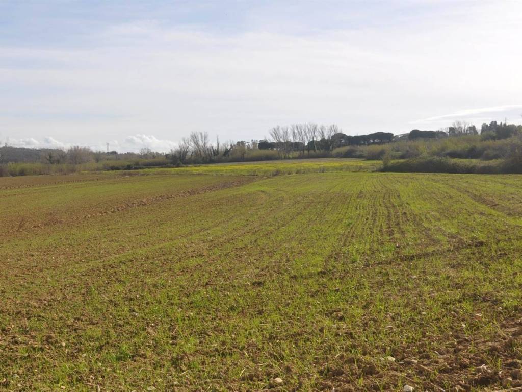 Terreno a Rosignano marittimo in località Grotti - Foto 2
