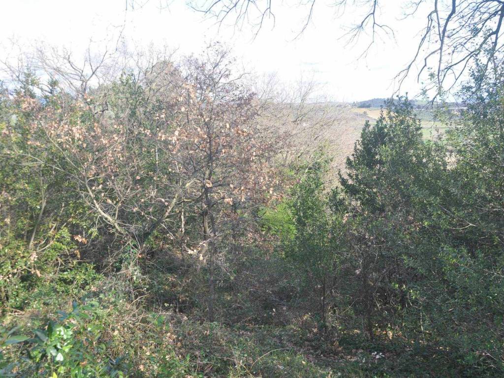 Terreno a Rosignano marittimo in località Grotti - Foto 3