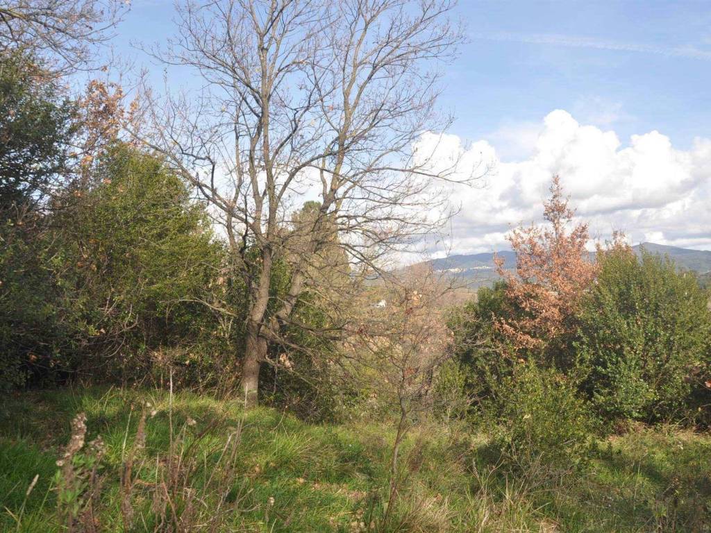 Terreno a Rosignano marittimo in località Grotti - Foto 4