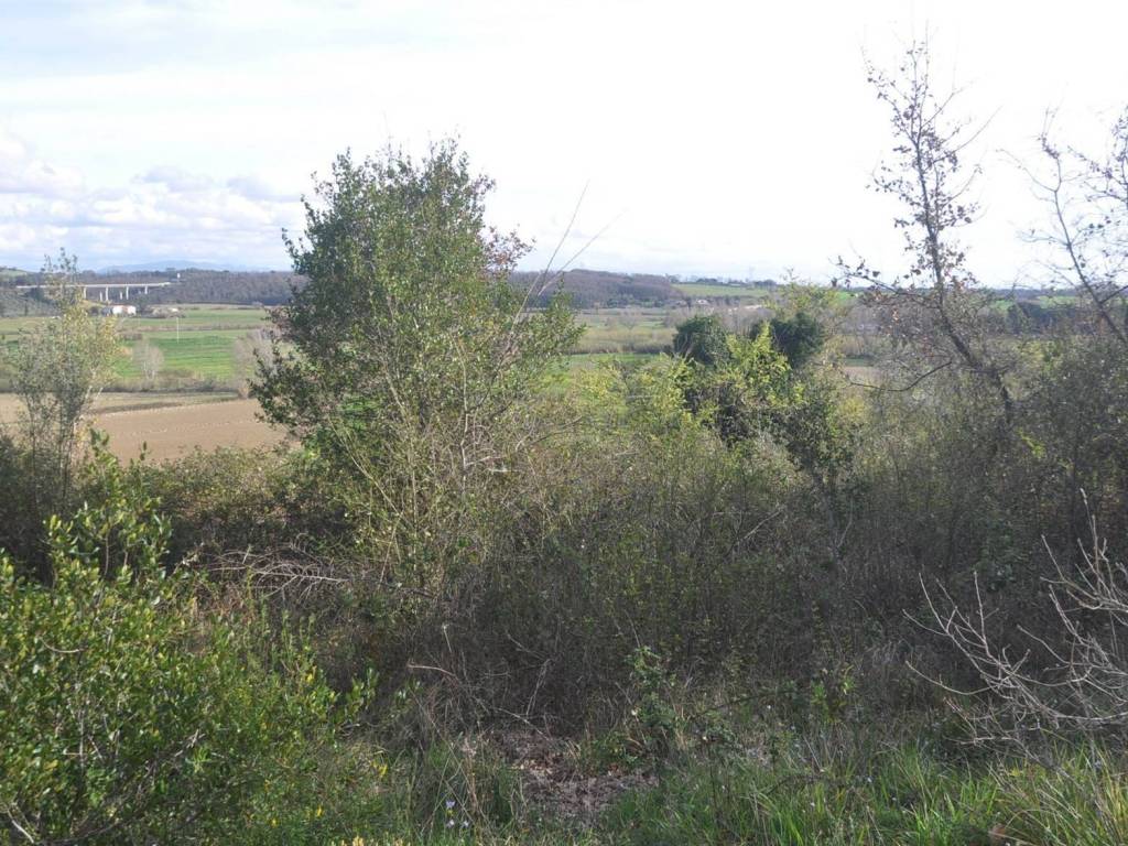 Terreno a Rosignano marittimo in località Grotti - Foto 5