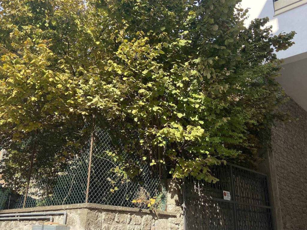 Casa indipendente a Montefiascone in via del Lago - Foto 5