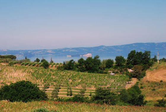 Rustico / casale a Montefiascone - Foto 4