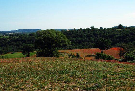 Rustico / casale a Montefiascone - Foto 5
