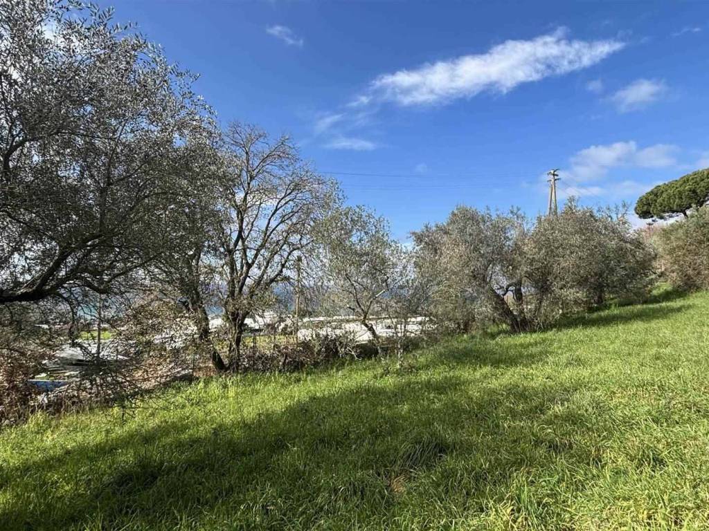 Terreno a Montefiascone - Foto 2