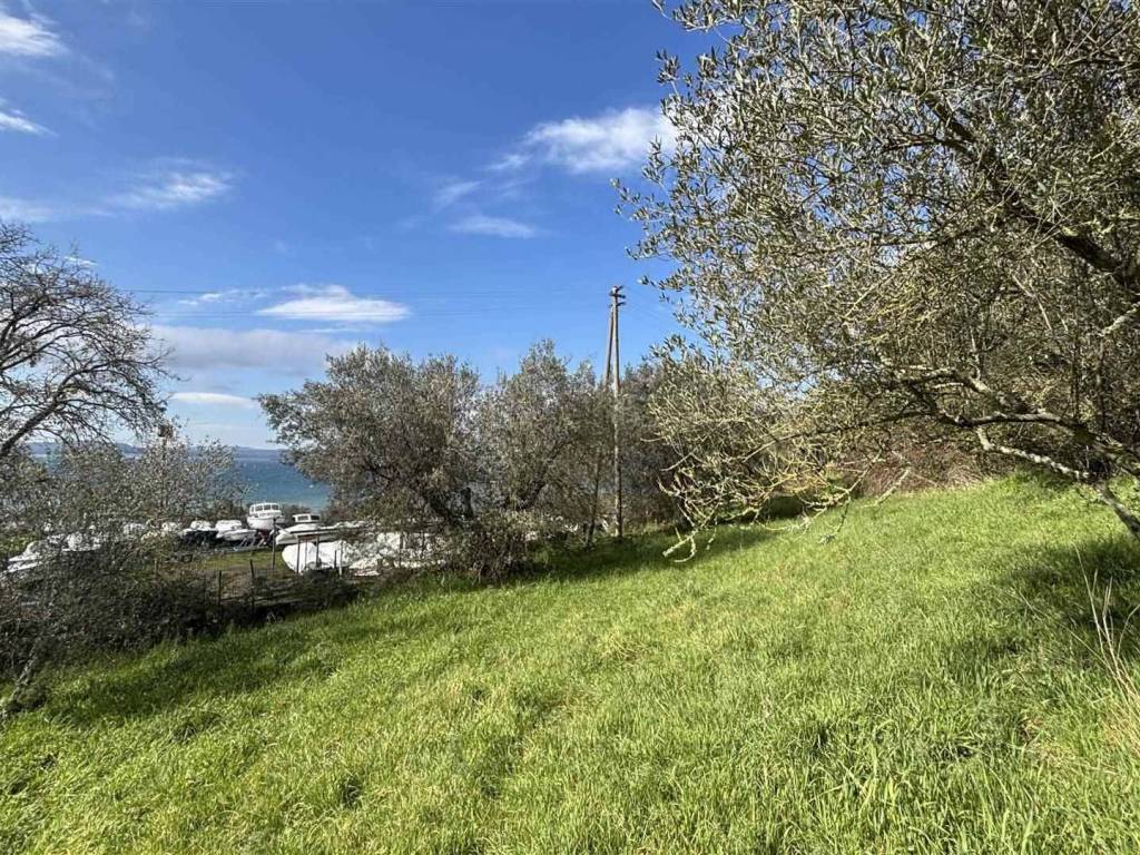 Terreno a Montefiascone - Foto 3