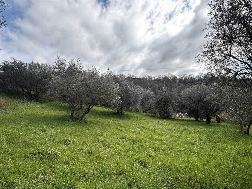 Terreno a Montefiascone - Foto 4