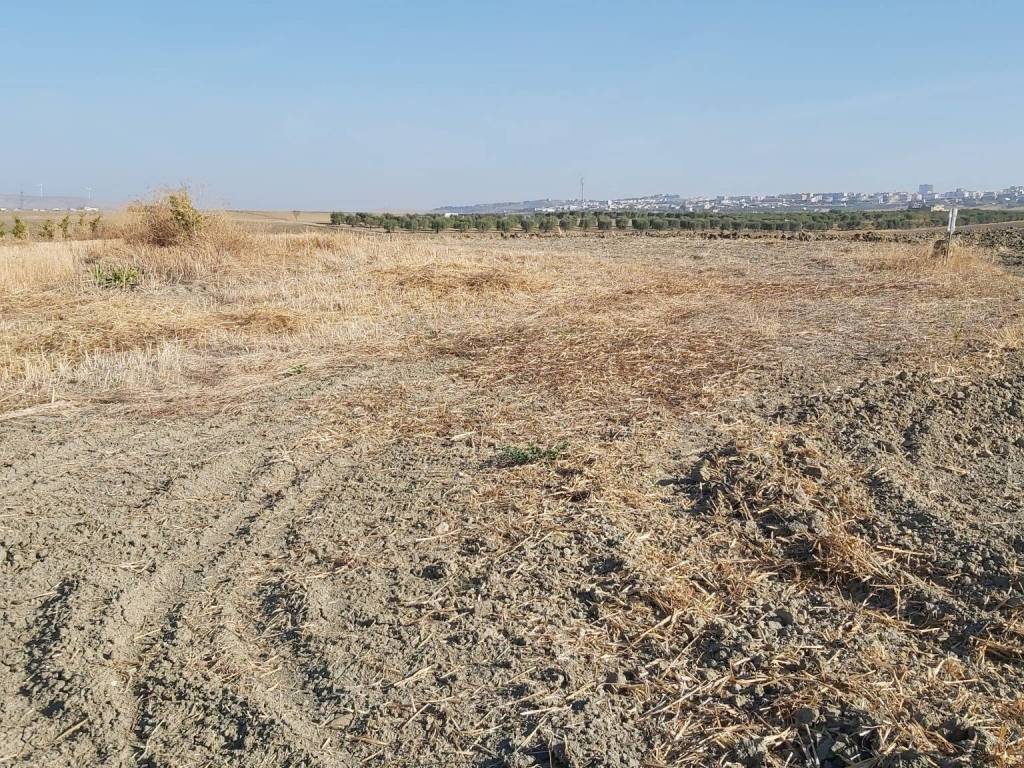 Terreno a Matera in Contrada Guirro - Foto 5