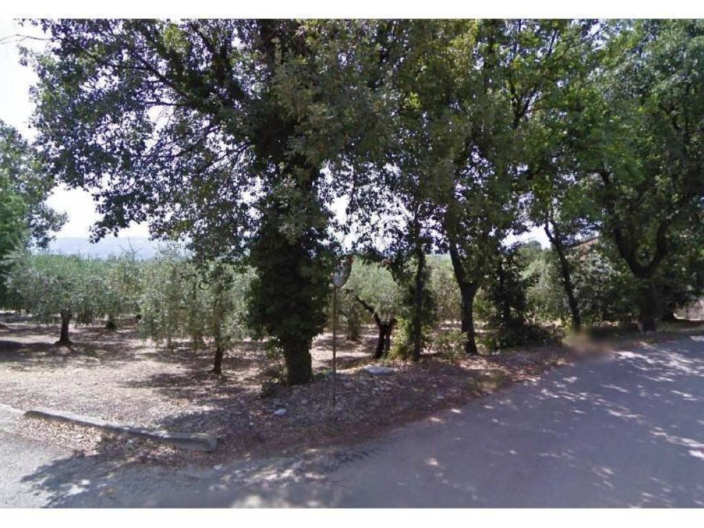 Terreno a Santa maria imbaro in Contrada Fattore - Foto 2