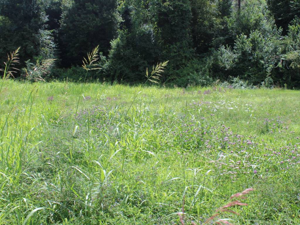 Terreno a Valmadrera in Via Piedimonte - Foto 2