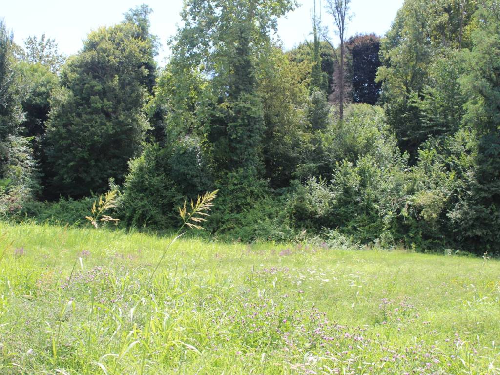 Terreno a Valmadrera in Via Piedimonte - Foto 3