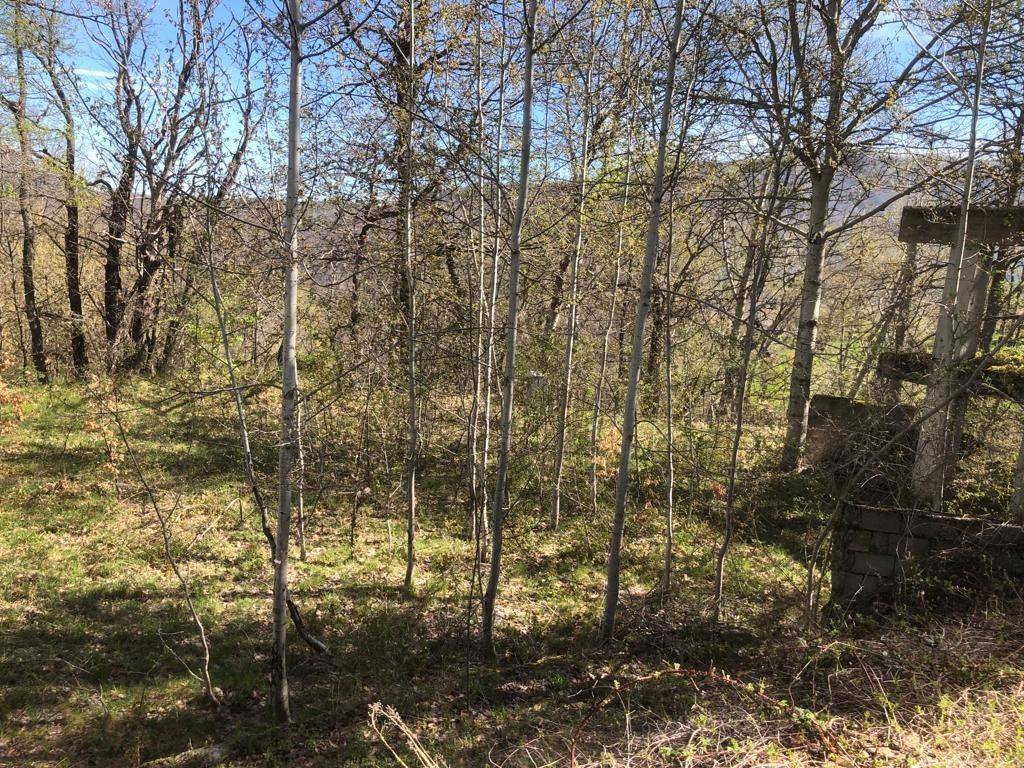 Rustico / casale a Accumoli in Poggio d'Api - Foto 3