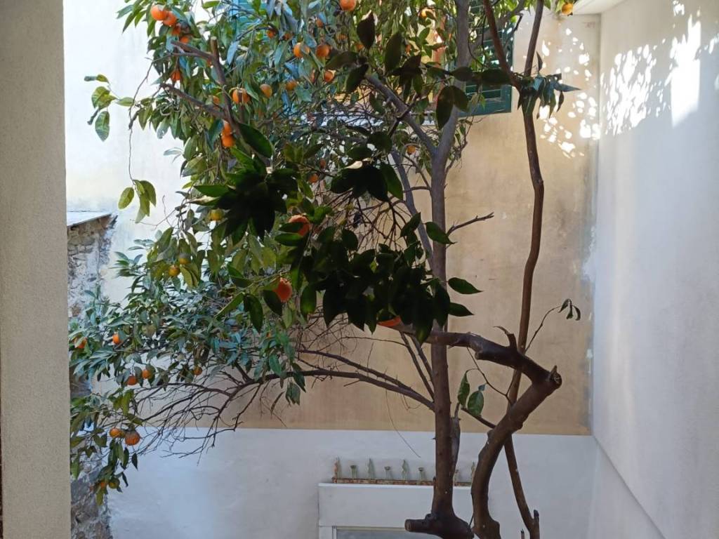 Casa indipendente a Sarzana - Foto 3