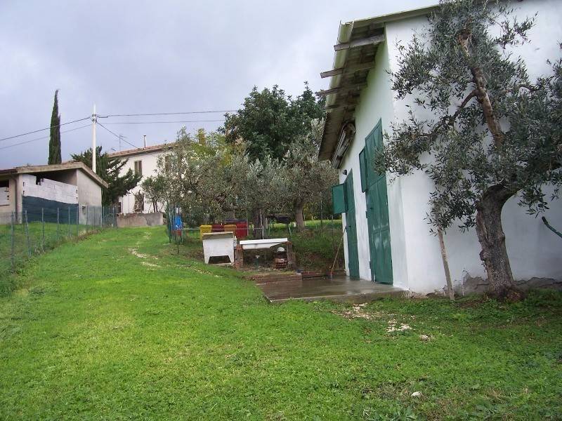 Rustico / casale a San vincenzo in Via del Castelluccio - Foto 3