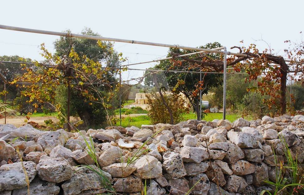 Villa a Salve in Strada Comunale Schifazzi Leopoldi - Foto 5