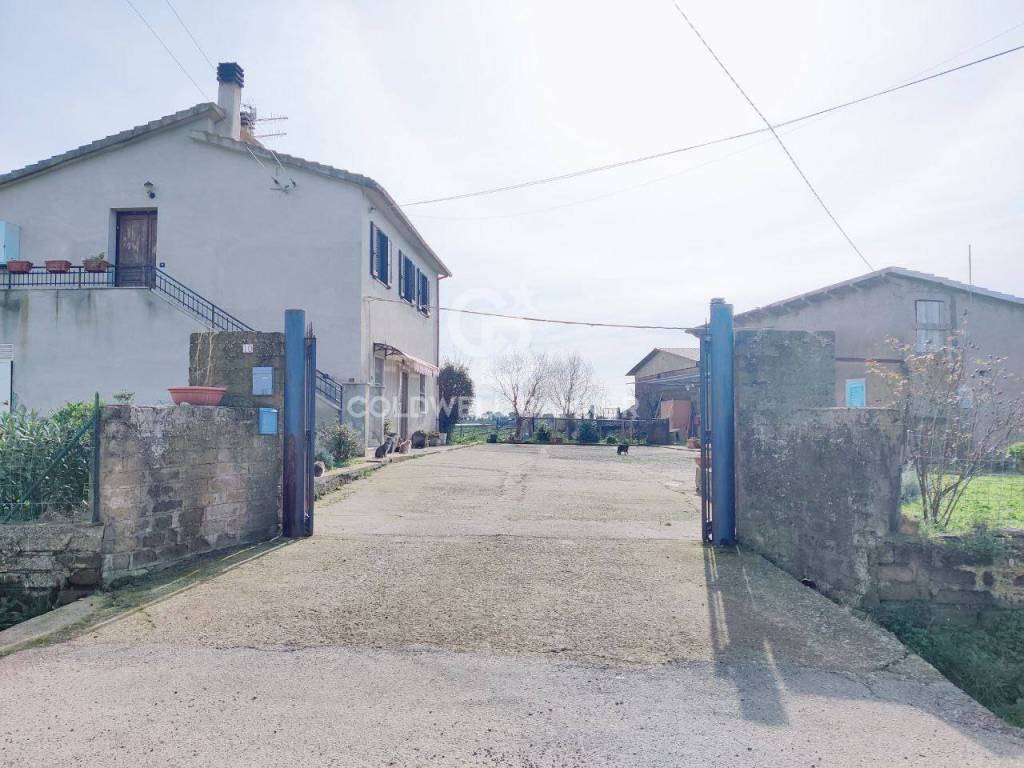 Rustico / casale a Montalto di castro in località Camposcala - Foto 3