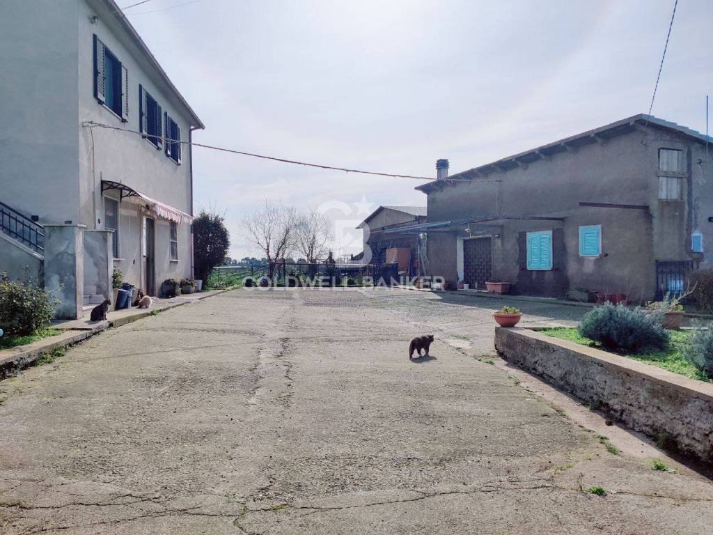 Rustico / casale a Montalto di castro in località Camposcala - Foto 4