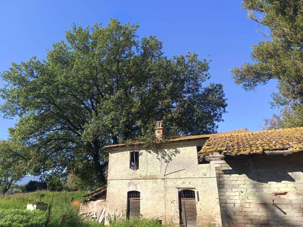 Rustico / casale a Castel ritaldi in Via 2 Maggio - Foto 3