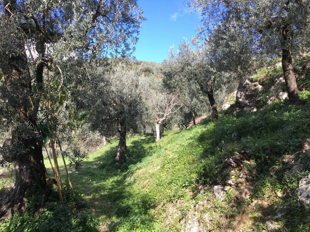 Terreno a Campagna in Via Cappuccini, 11 - Foto 3