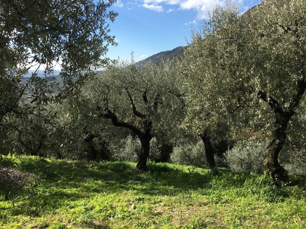 Terreno a Campagna in Via Cappuccini, 11 - Foto 5