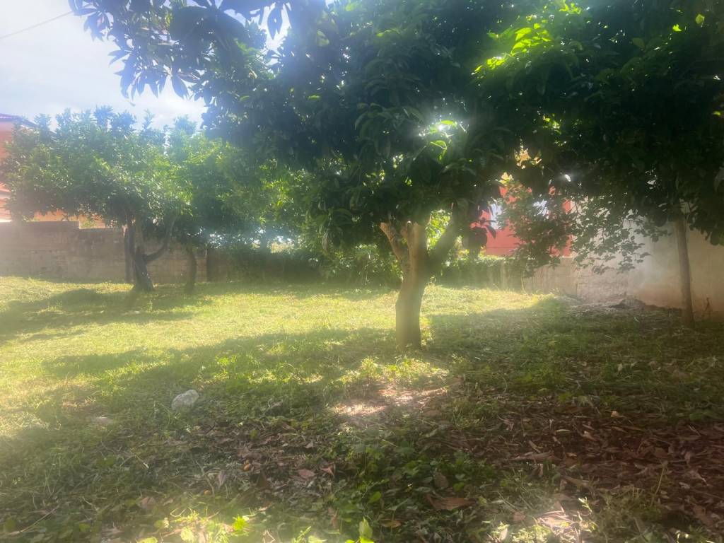 Villa a Vibo valentia in Via Andrea Cefaly, 9 - Foto 4